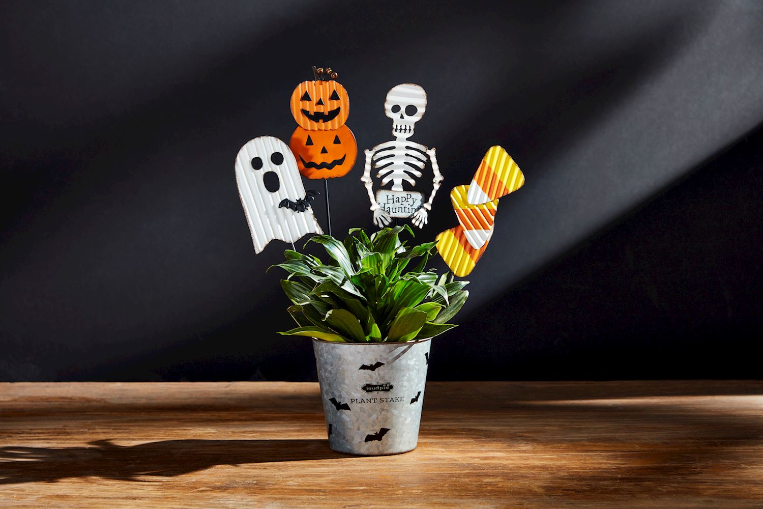 Halloween Plant Stakes