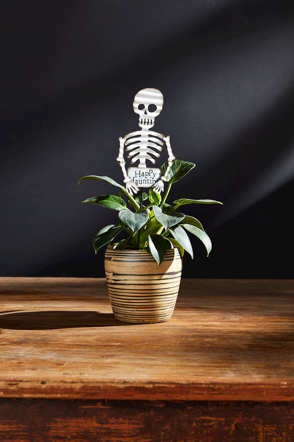 Halloween Plant Stakes