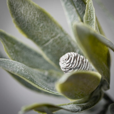 Protea Spray