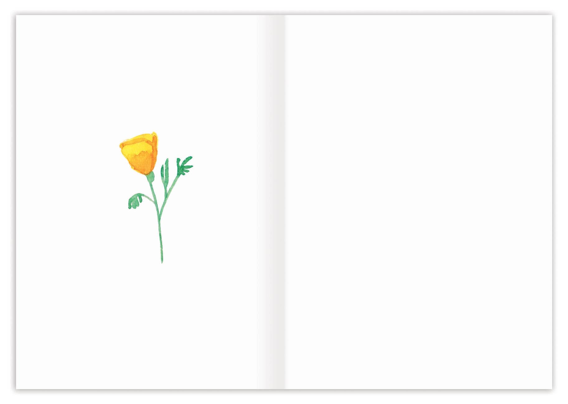 Yellow Poppies Get Well Card