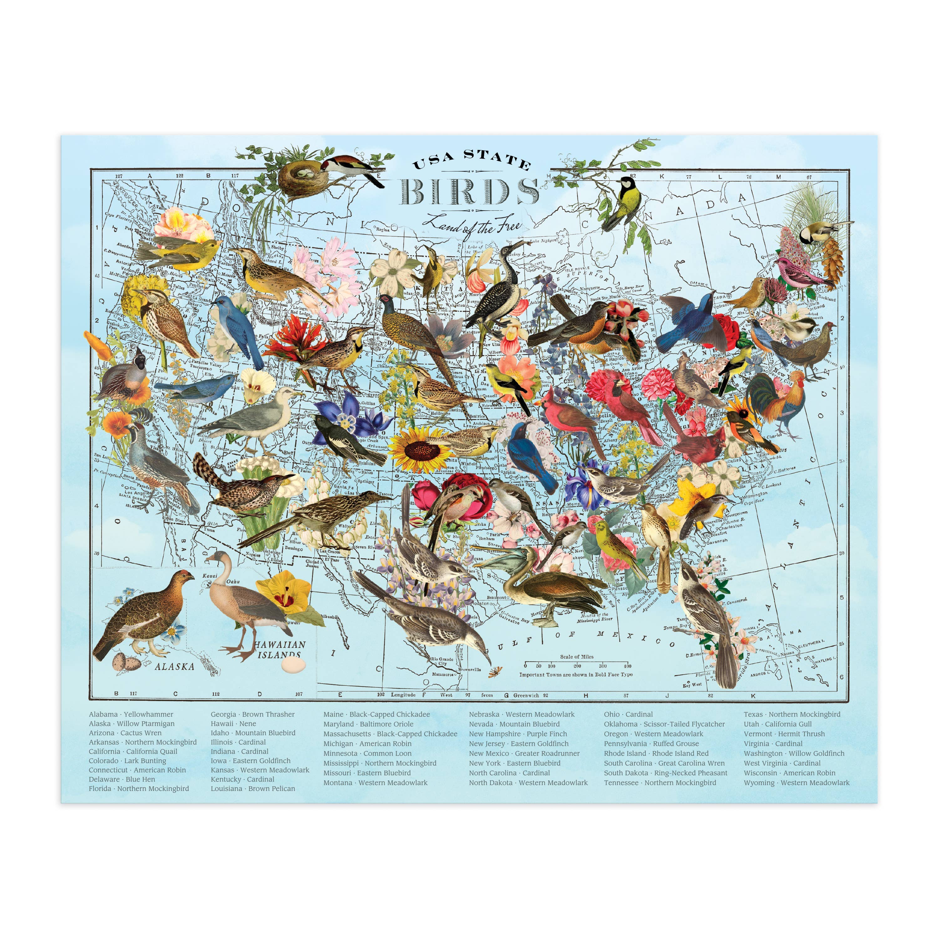 Wendy Gold State Birds 1000 Piece Puzzle