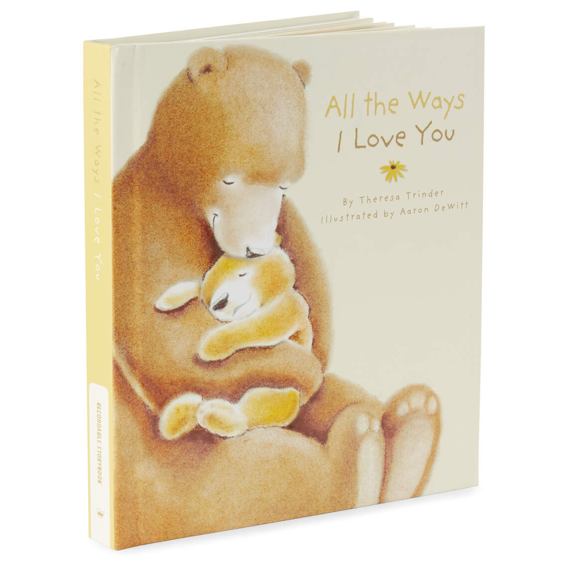 All the Ways I Love You Recordable Storybook