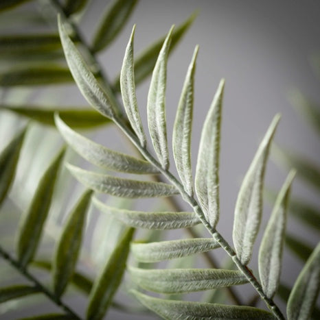 Frosted Fern Spray