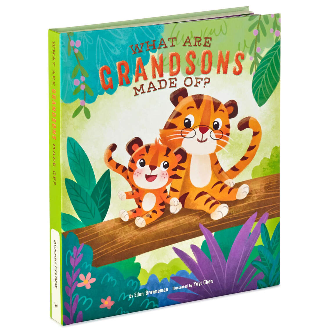 Grandsons Recordable Story Book