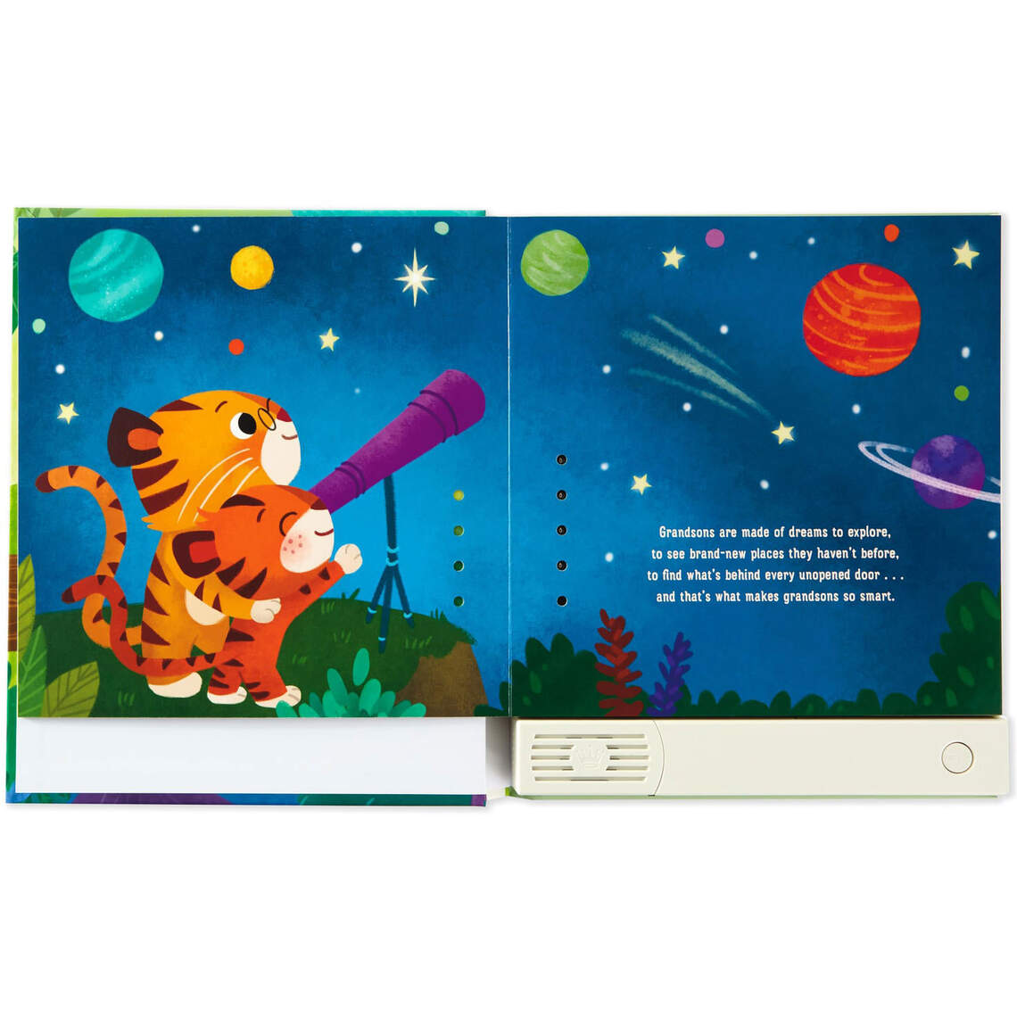 Grandsons Recordable Story Book